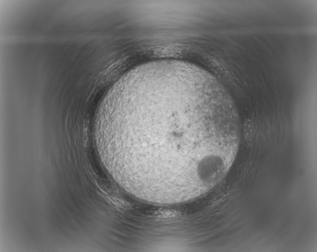 X0000056350741200509232105