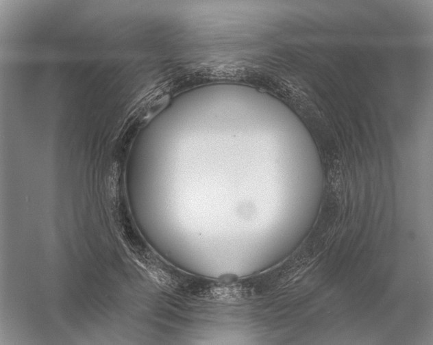 X0000056350744200509232105