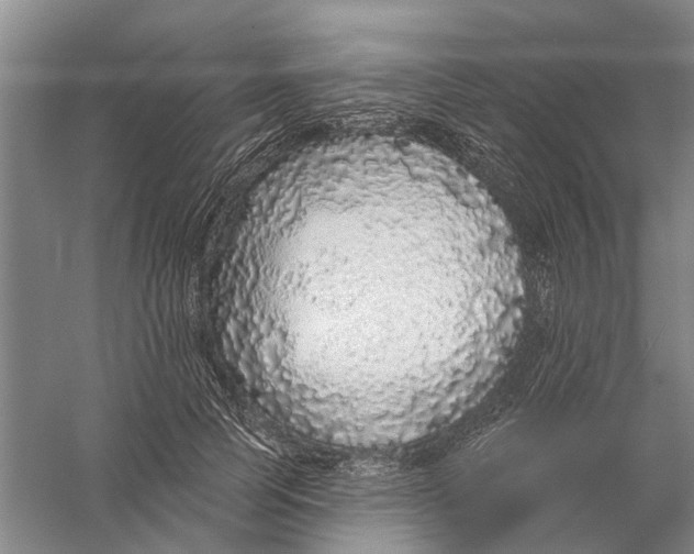 X0000056350745200509232105