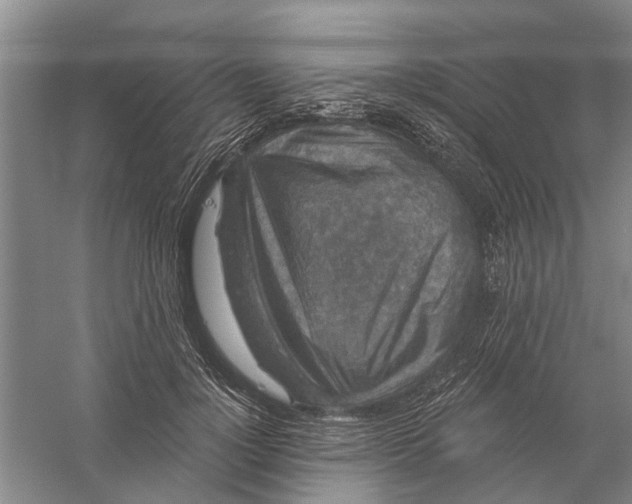 X0000056350748200509232105