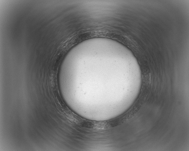 X0000056350757200509232105