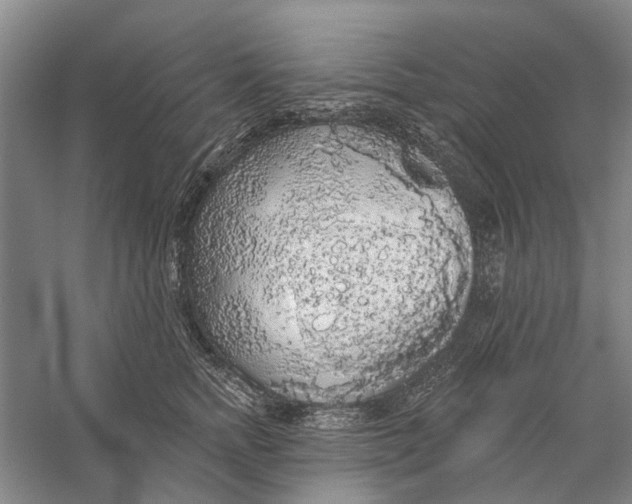 X0000056350758200509232105