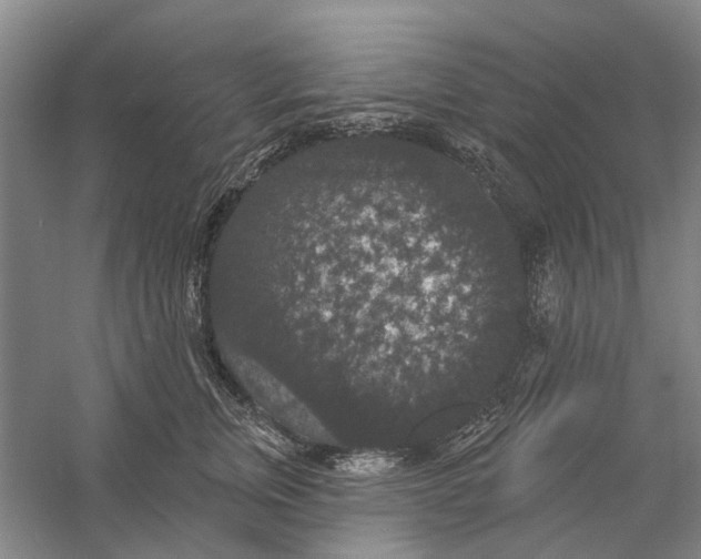 X0000056350759200509232105