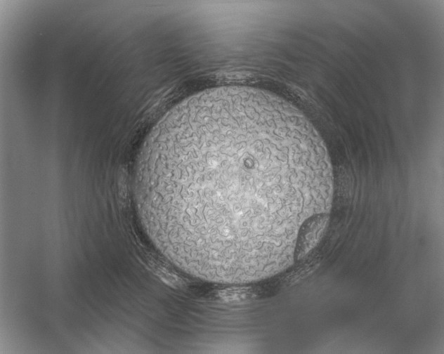 X0000056350761200509232105