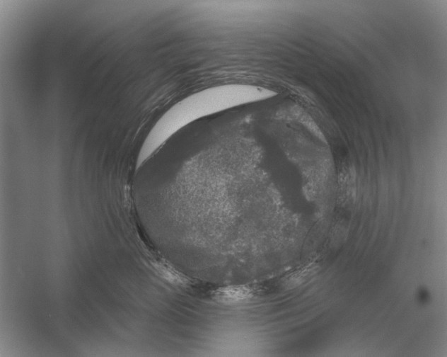 X0000056350765200509232105