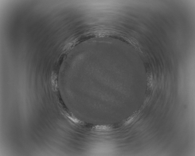 X0000056350766200509232105