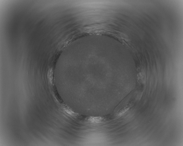 X0000056350767200509232105