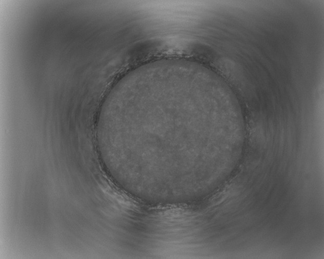 X0000056350769200509232104