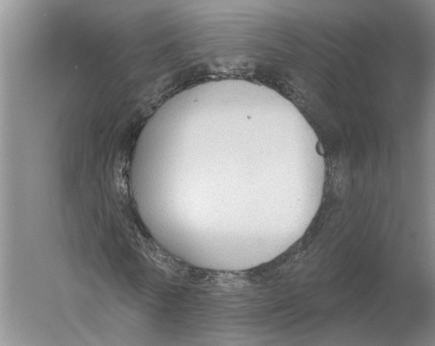 X0000056350770200509232104