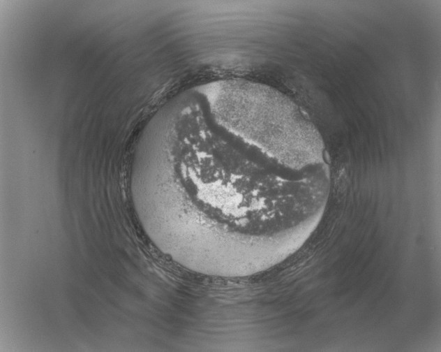 X0000056350772200509232104