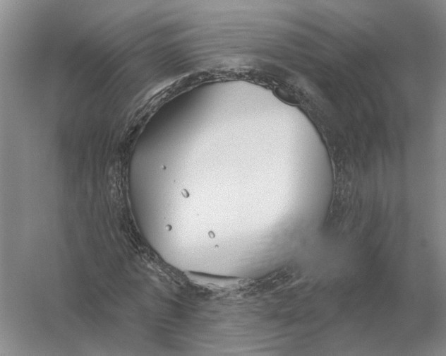 X0000056350773200509232104