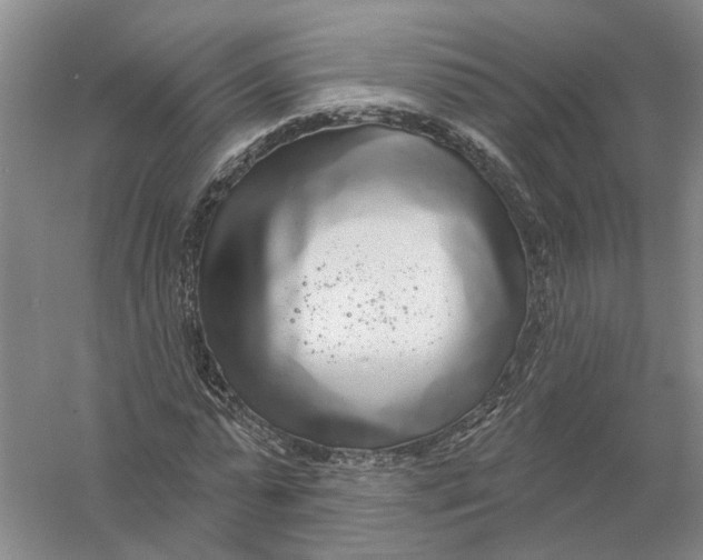 X0000056350775200509232104