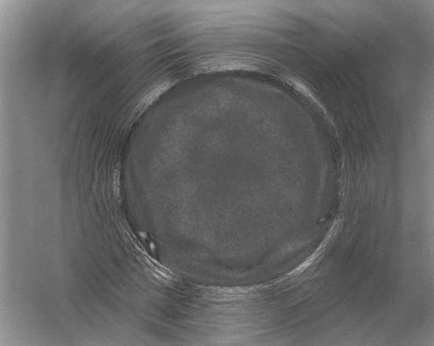 X0000056350777200509232104