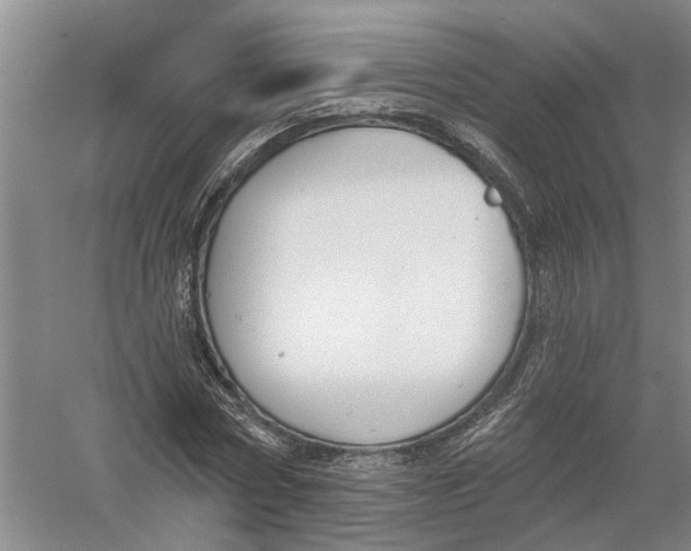 X0000056350778200509232104