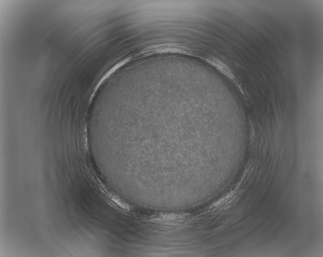 X0000056350782200509232104