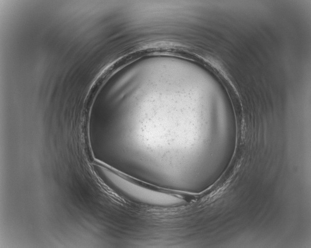 X0000056350783200509232104