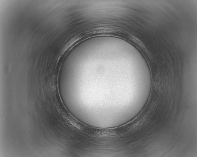 X0000056350786200509232104