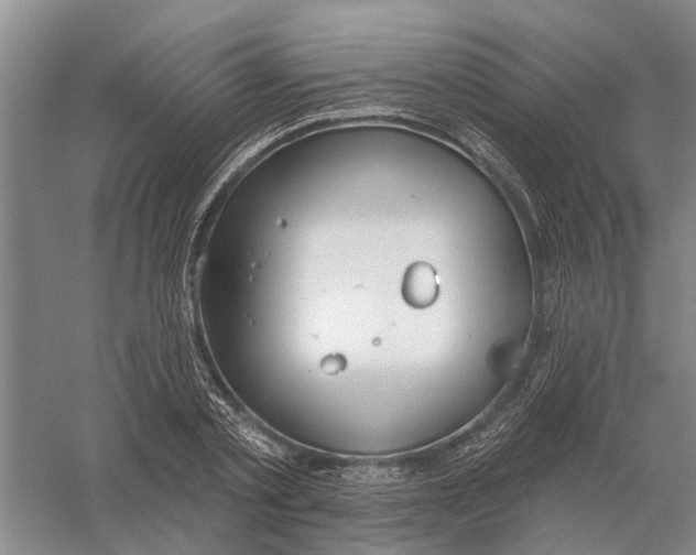 X0000056350789200509232104