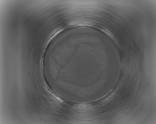 X0000056350790200509232104