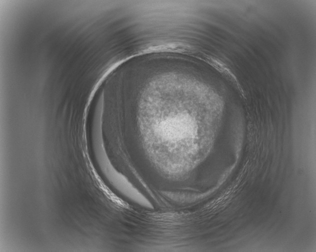 X0000056350792200509232104