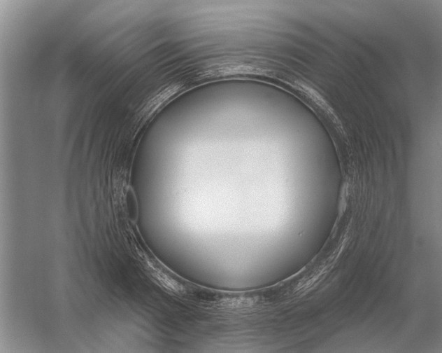 X0000056350793200509232104