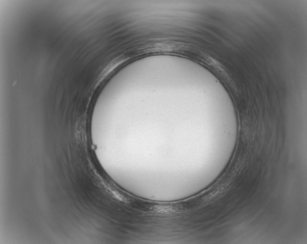 X0000056350794200509232104