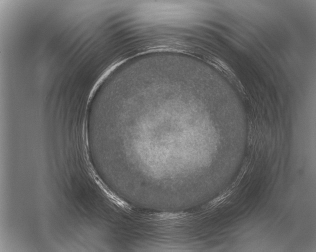 X0000056350796200509232104