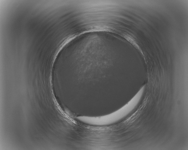 X0000056350797200509232104