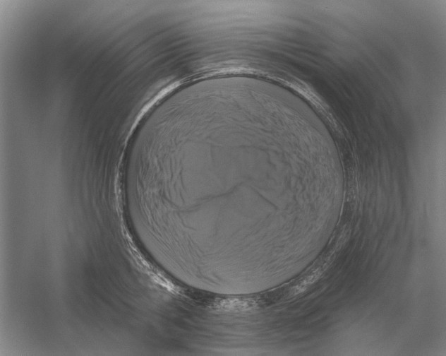 X0000056350806200509232104