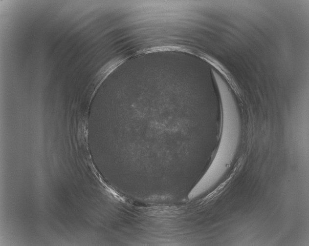 X0000056350809200509232104