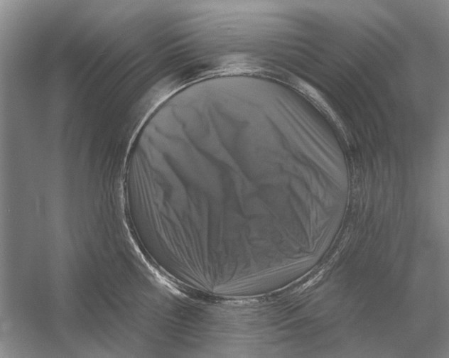 X0000056350810200509232104