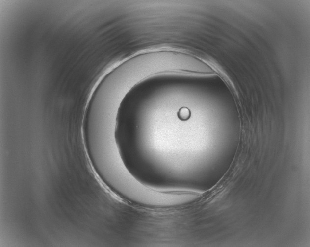 X0000056350813200509232104