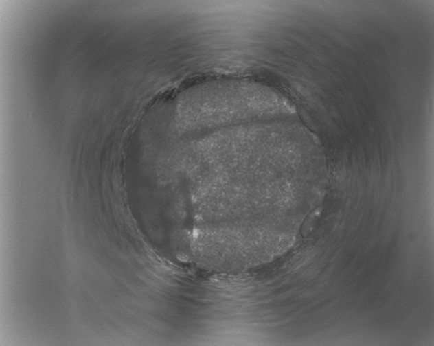 X0000056350817200509232103