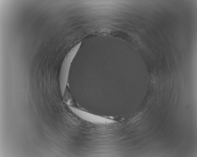 X0000056350818200509232103