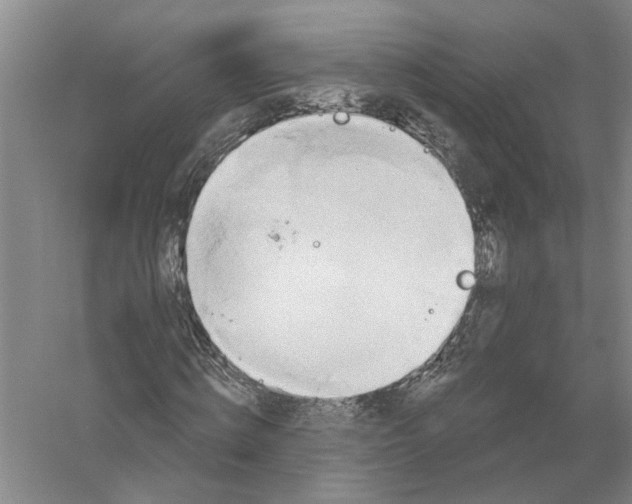 X0000056350820200509232103