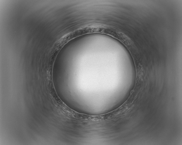 X0000056350821200509232103