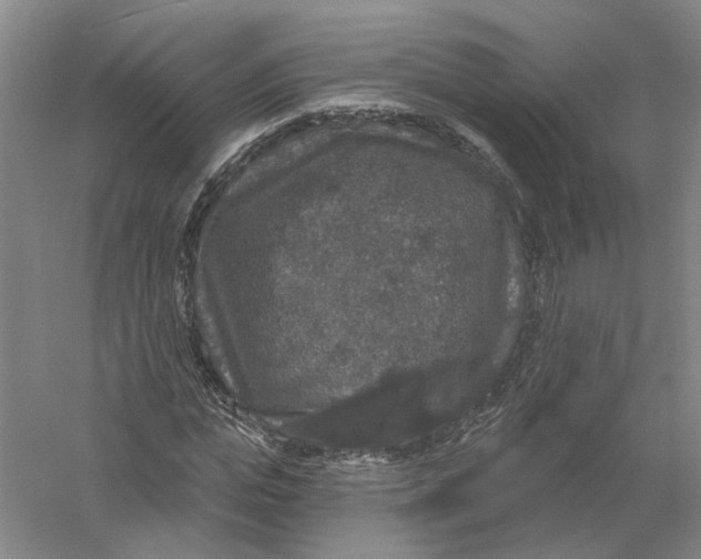 X0000056350823200509232103