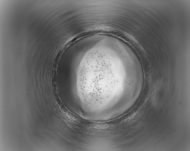 X0000056350825200509232103