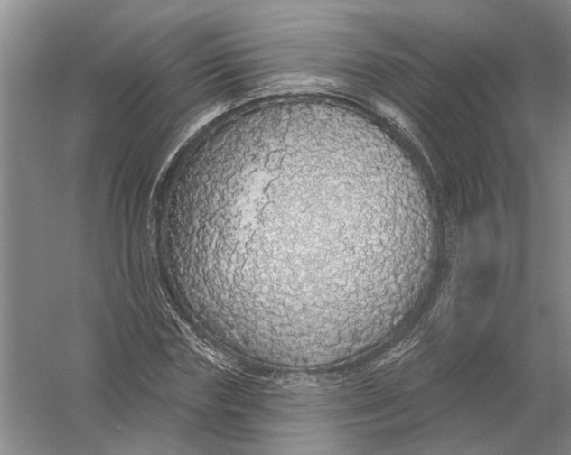 X0000056350827200509232103