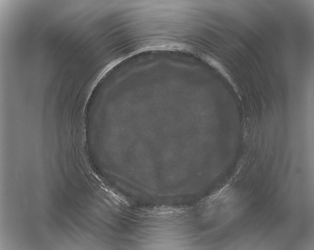 X0000056350829200509232103