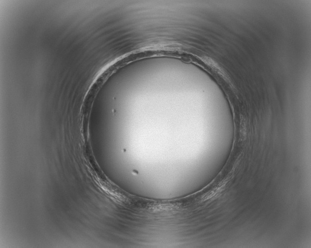 X0000056350830200509232103