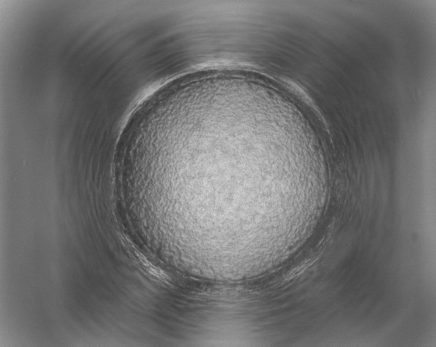 X0000056350831200509232103