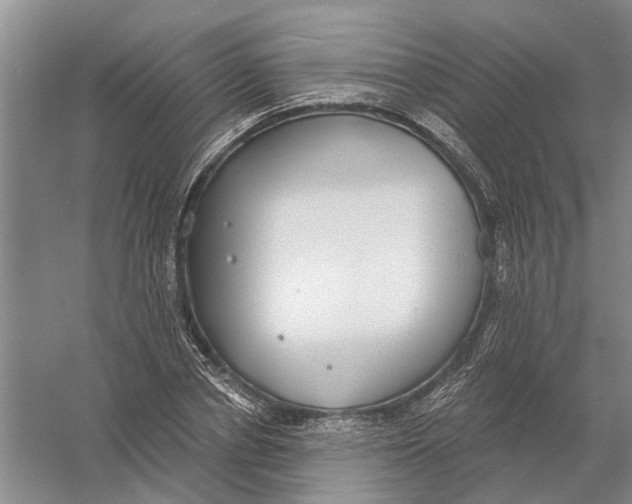 X0000056350834200509232103