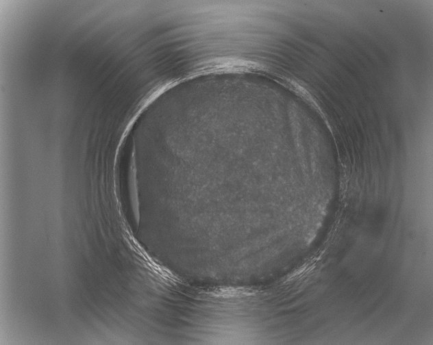 X0000056350835200509232103