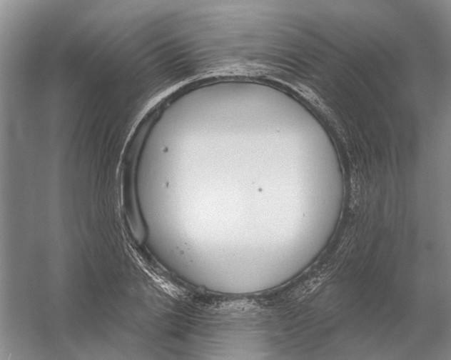 X0000056350838200509232103