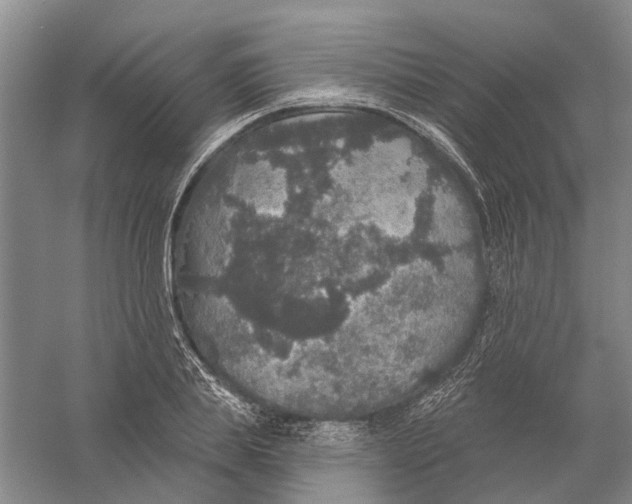 X0000056350839200509232103