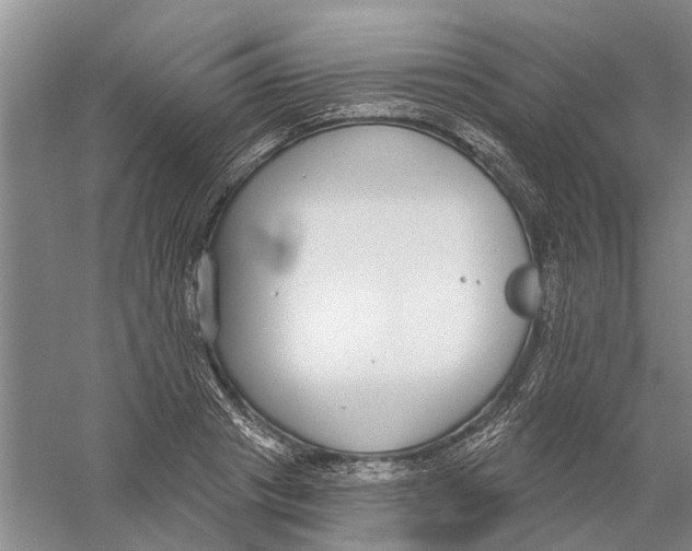 X0000056350841200509232103