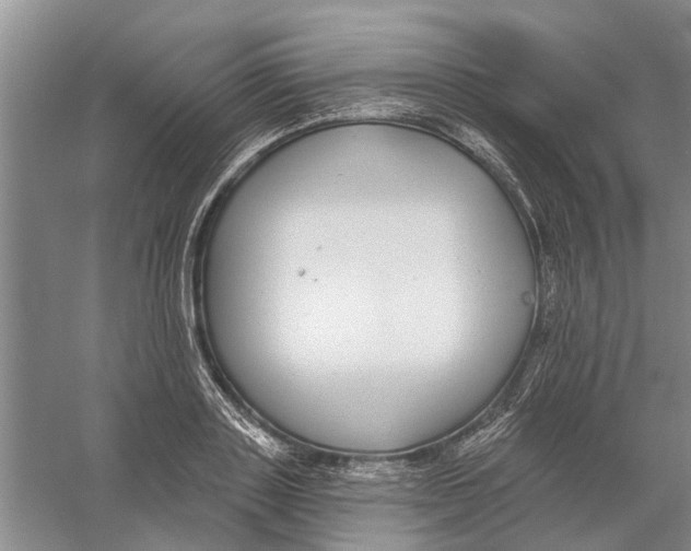 X0000056350843200509232103