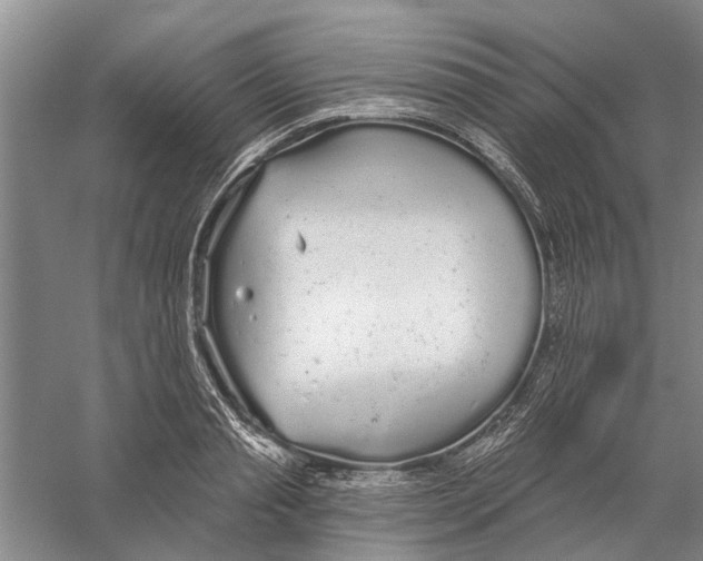 X0000056350845200509232103