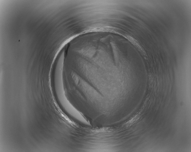 X0000056350846200509232103